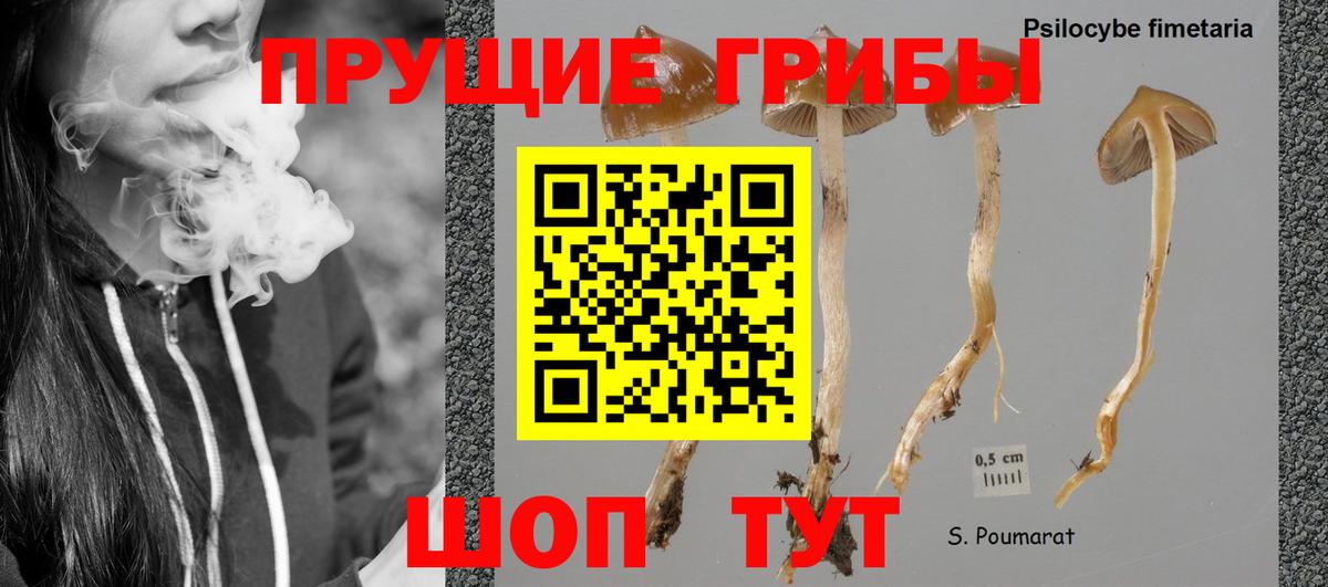 Галлюциногенные грибы ЛСД  Вход с VPN  Куйбышев 